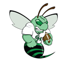 Green Hornets Football